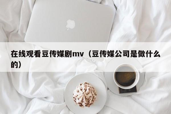 在线观看豆传媒剧mv（豆传媒公司是做什么的）