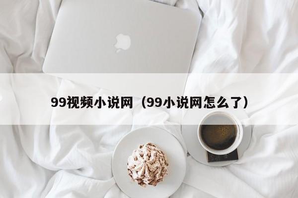 99视频小说网（99小说网怎么了）