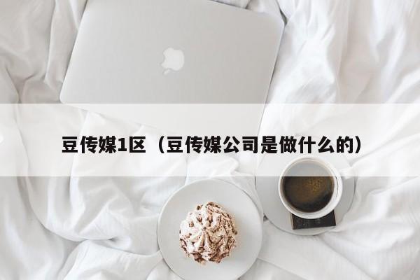 豆传媒1区（豆传媒公司是做什么的）